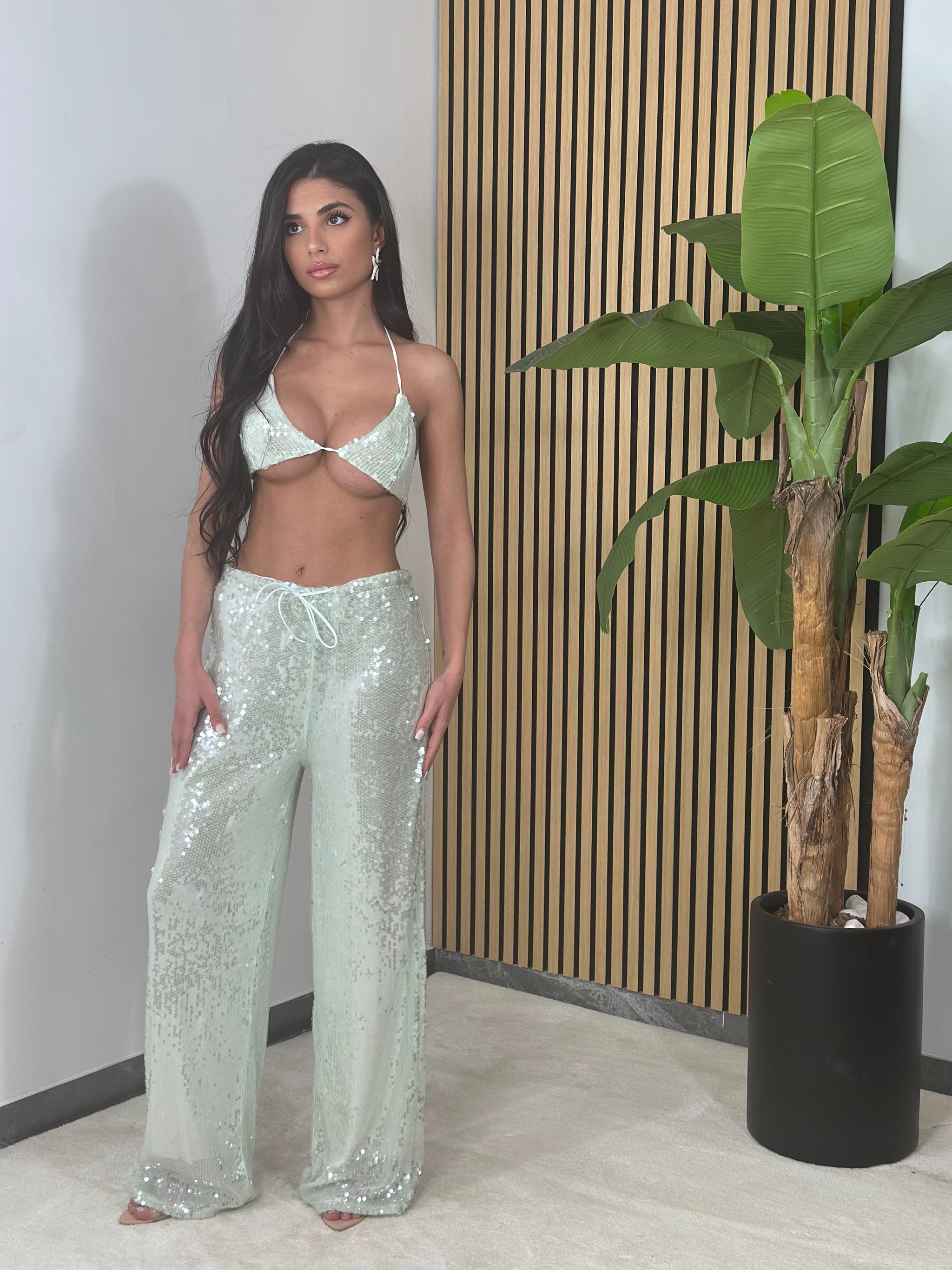 Set Miami