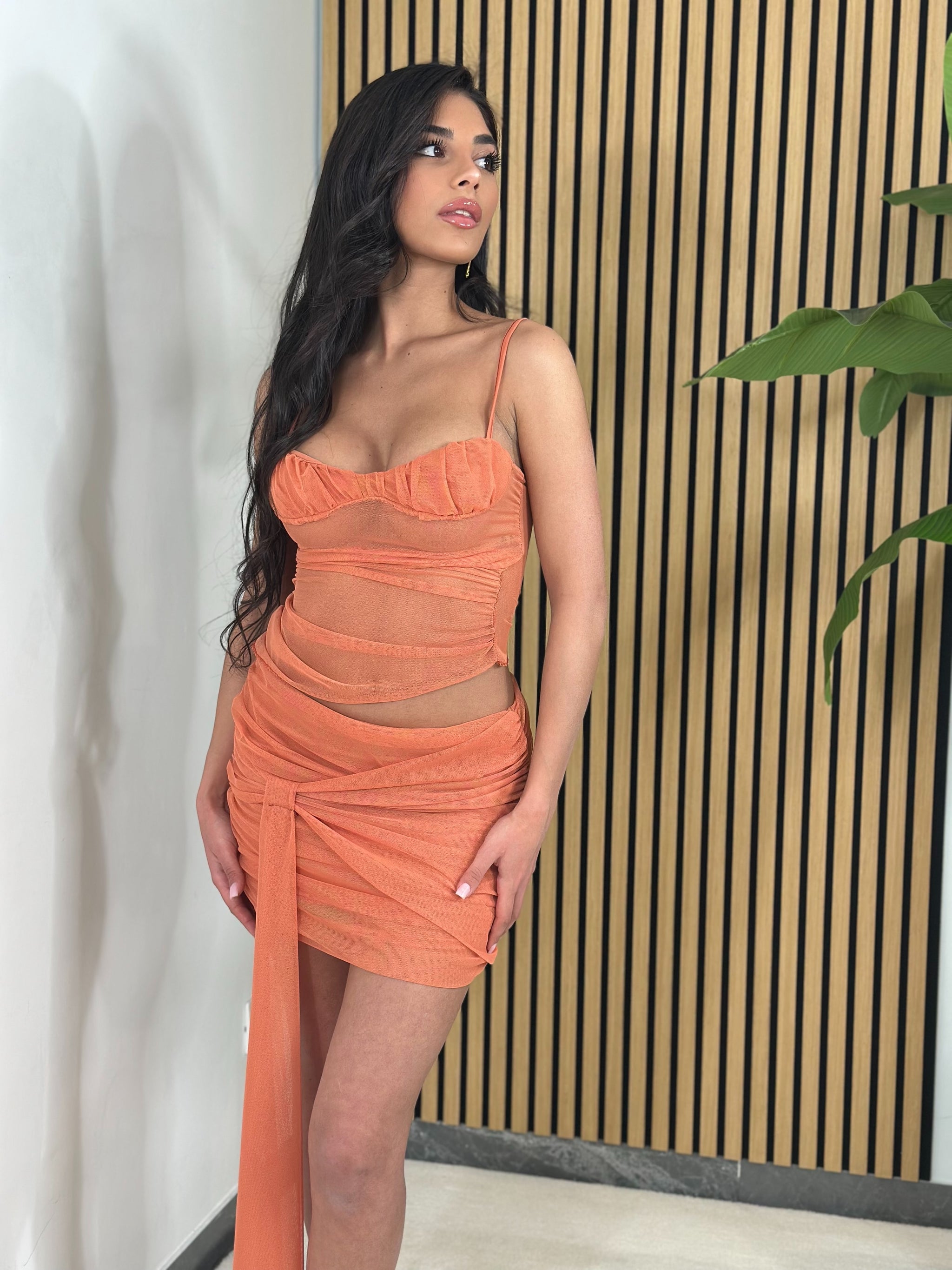 Set Veiled